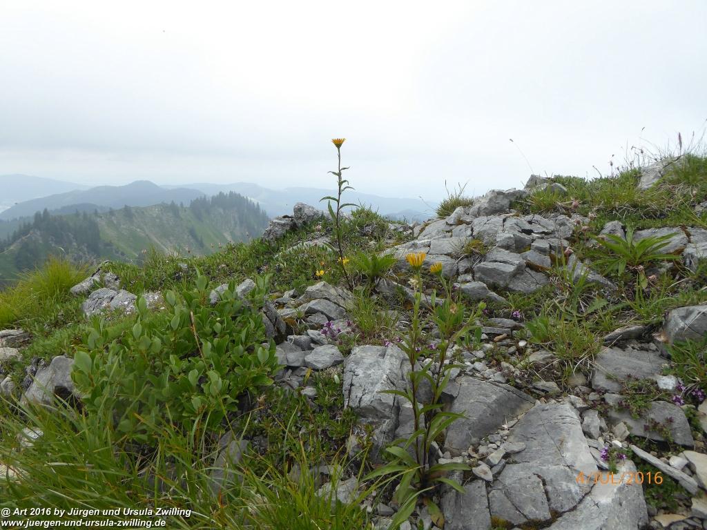Gipfeltraumtour von Neuhaus auf die Brecherspitze und Josefsthaler Wasserfälle - Schliersee - Tegernsee