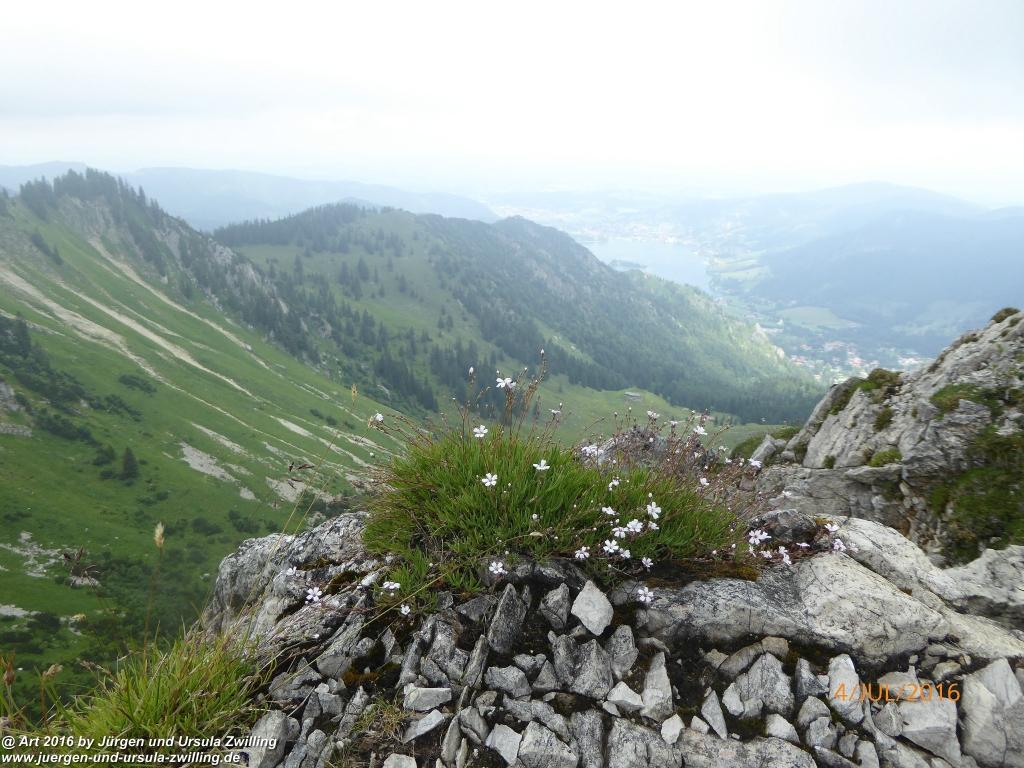 Gipfeltraumtour von Neuhaus auf die Brecherspitze und Josefsthaler Wasserfälle - Schliersee - Tegernsee