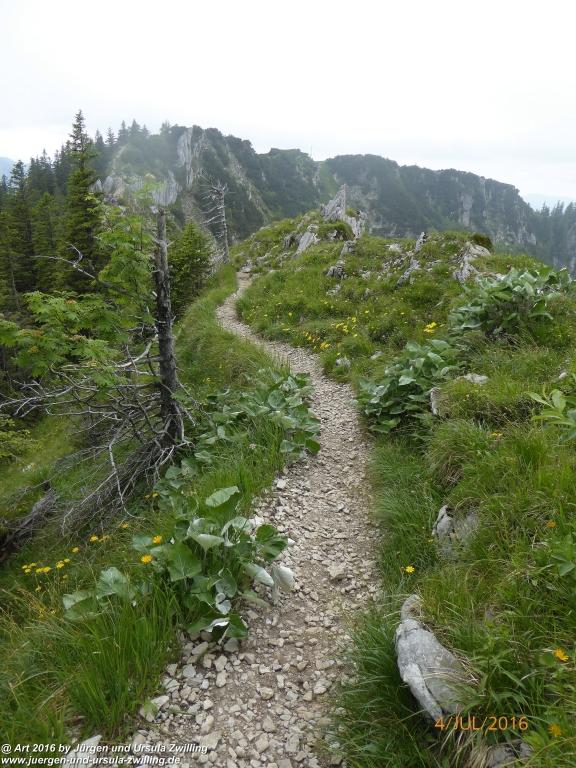 Gipfeltraumtour von Neuhaus auf die Brecherspitze und Josefsthaler Wasserfälle - Schliersee - Tegernsee