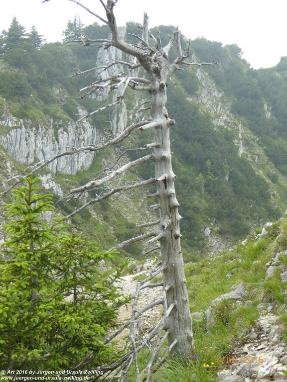 Gipfeltraumtour von Neuhaus auf die Brecherspitze und Josefsthaler Wasserfälle - Schliersee - Tegernsee