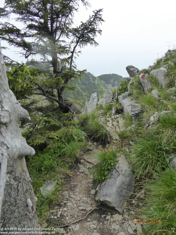 Gipfeltraumtour von Neuhaus auf die Brecherspitze und Josefsthaler Wasserfälle - Schliersee - Tegernsee