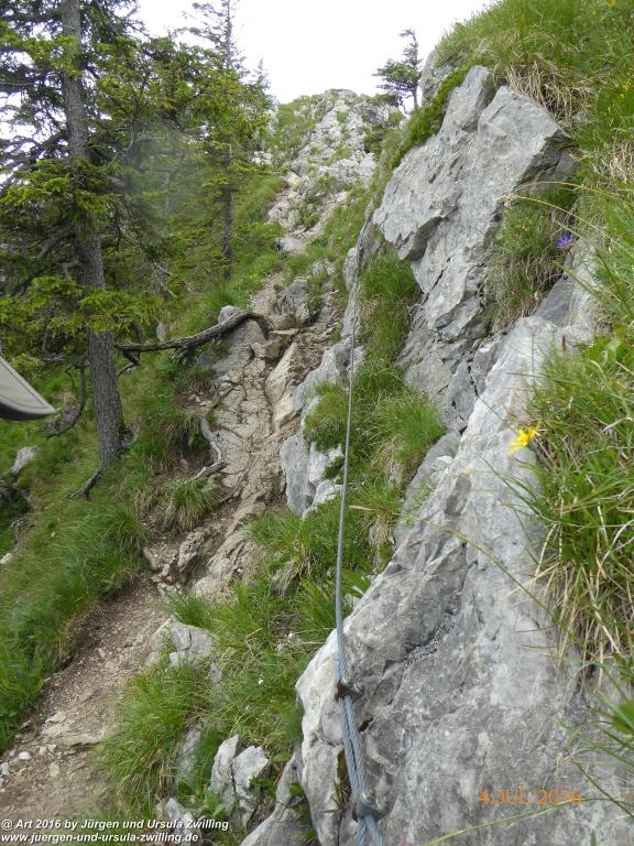 Gipfeltraumtour von Neuhaus auf die Brecherspitze und Josefsthaler Wasserfälle - Schliersee - Tegernsee