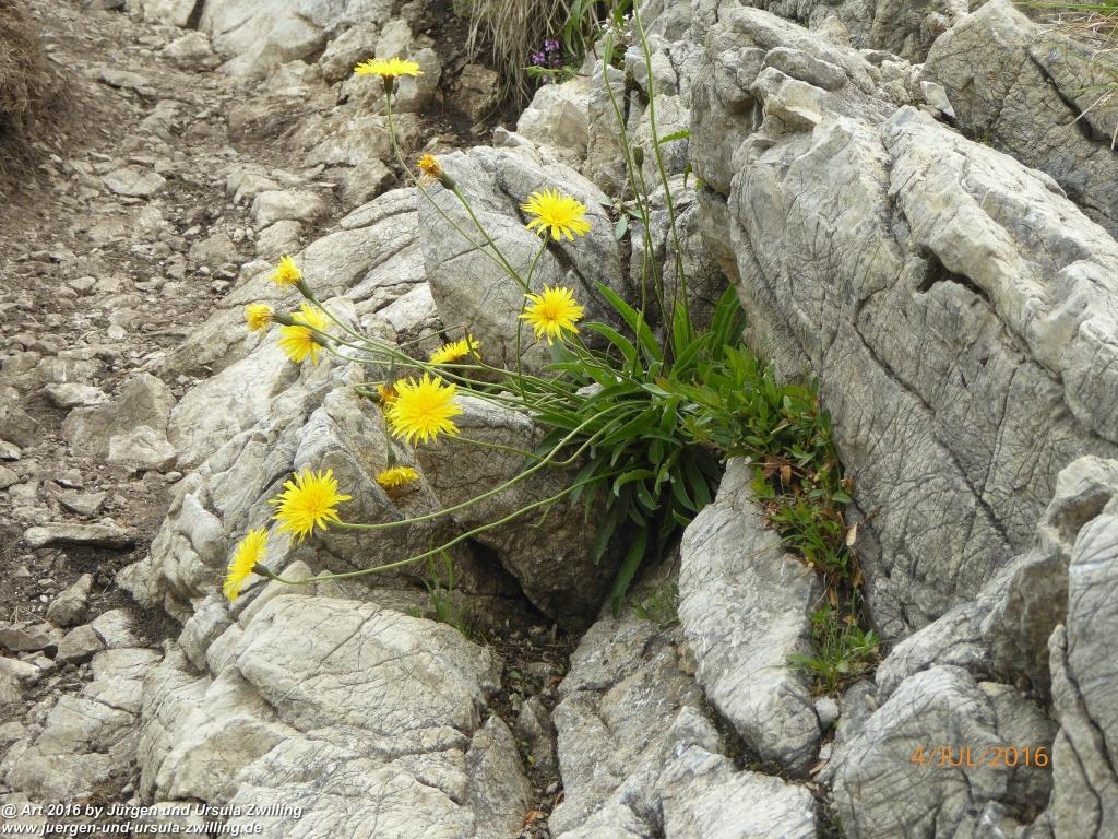 Gipfeltraumtour von Neuhaus auf die Brecherspitze und Josefsthaler Wasserfälle - Schliersee - Tegernsee