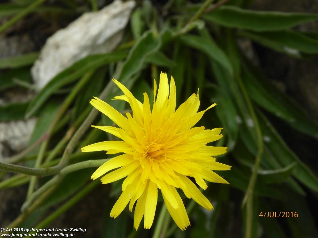 Gipfeltraumtour von Neuhaus auf die Brecherspitze und Josefsthaler Wasserfälle - Schliersee - Tegernsee