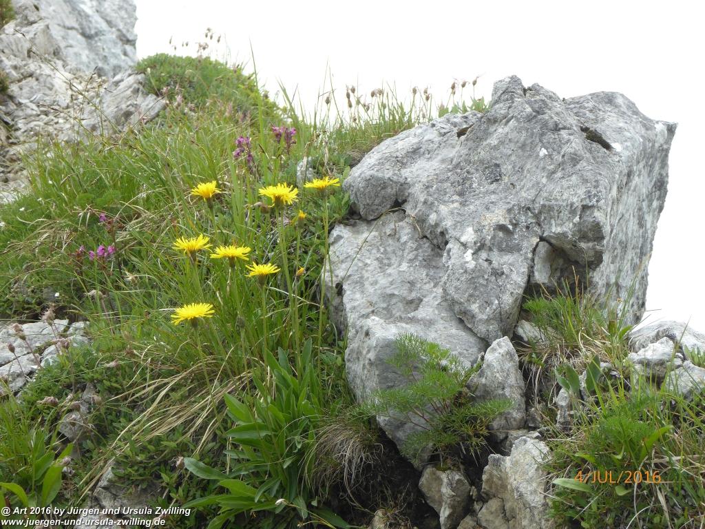 Gipfeltraumtour von Neuhaus auf die Brecherspitze und Josefsthaler Wasserfälle - Schliersee - Tegernsee