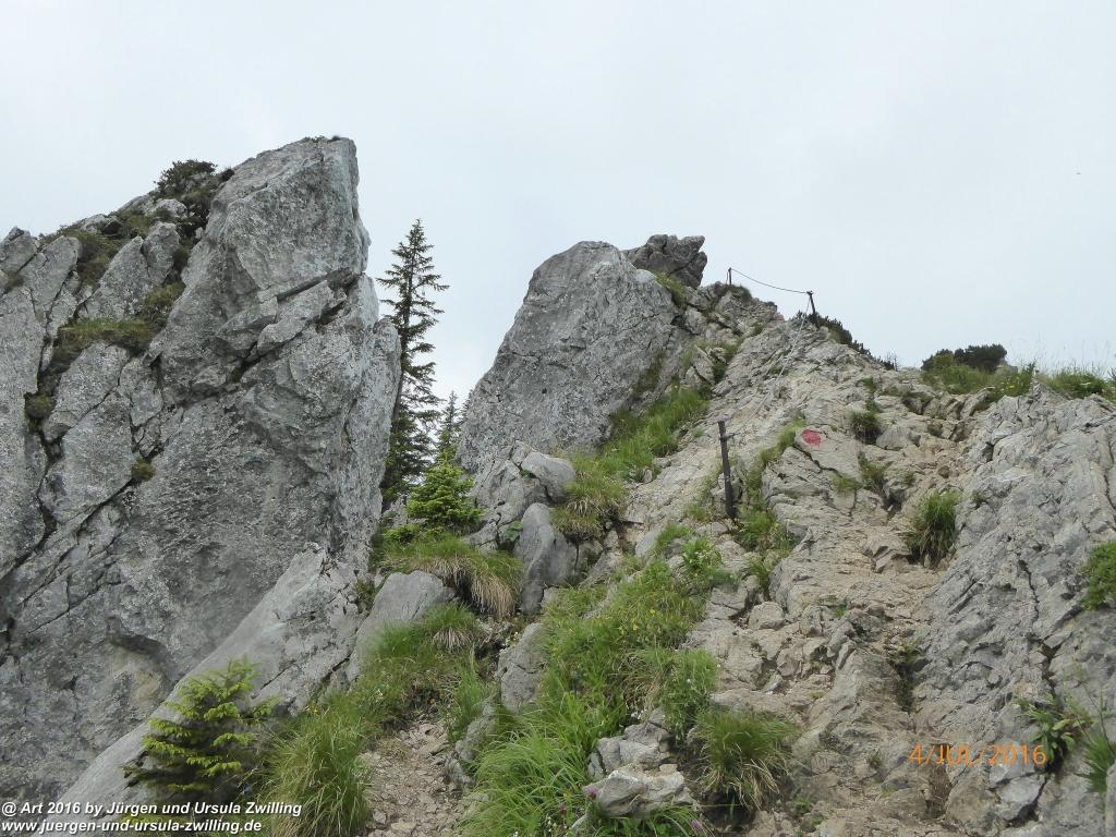 Gipfeltraumtour von Neuhaus auf die Brecherspitze und Josefsthaler Wasserfälle - Schliersee - Tegernsee