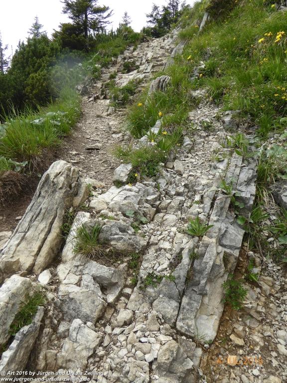 Gipfeltraumtour von Neuhaus auf die Brecherspitze und Josefsthaler Wasserfälle - Schliersee - Tegernsee