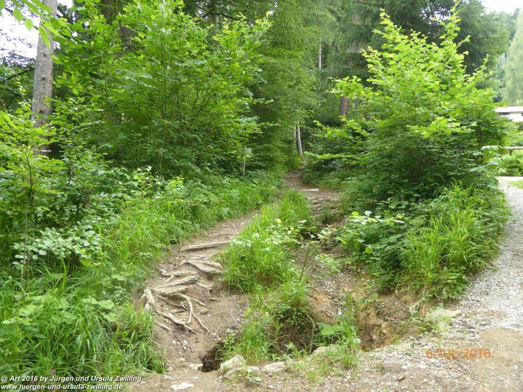 Philosophische Bildwanderung Genusstraumtour-ueber-die-Huberspitz-zur-Gindelalm - Tegernsee -Schliersee