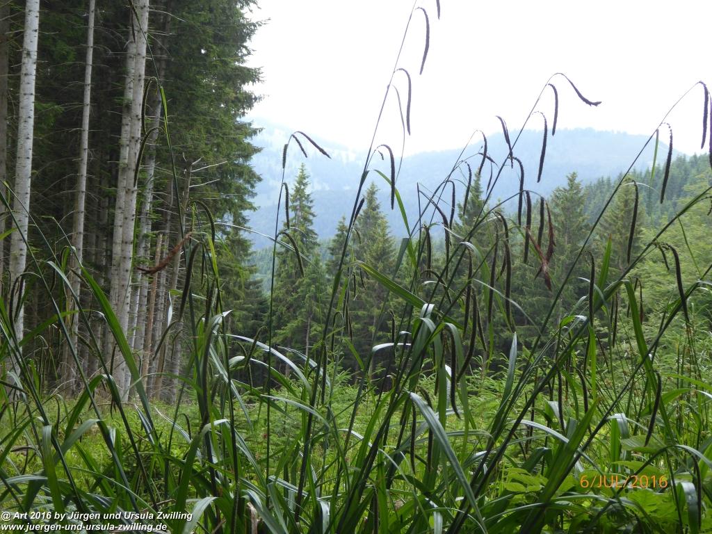 Philosophische Bildwanderung Genusstraumtour-ueber-die-Huberspitz-zur-Gindelalm - Tegernsee -Schliersee