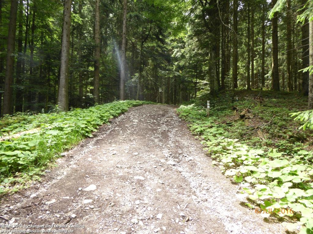 Philosophische Bildwanderung Genusstraumtour-ueber-die-Huberspitz-zur-Gindelalm - Tegernsee -Schliersee