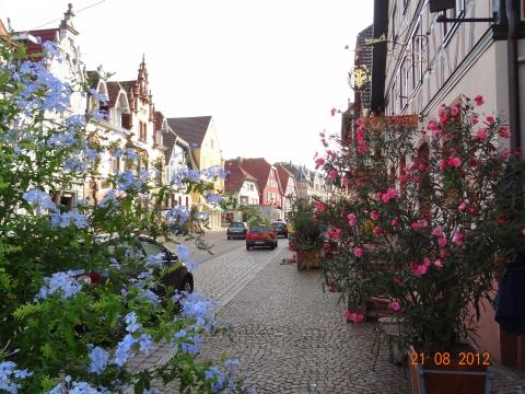 Wandertour von Zell-hinauf-zum-Brandenkopf