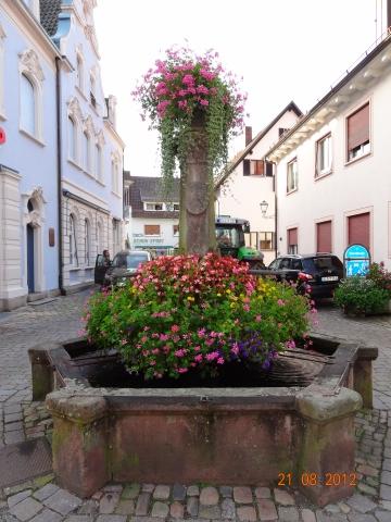 Wandertour von Zell-hinauf-zum-Brandenkopf