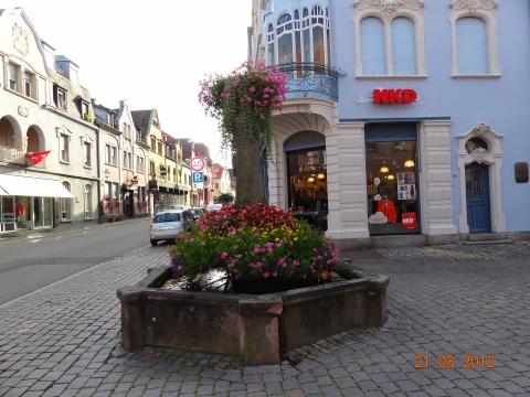 Wandertour von Zell-hinauf-zum-Brandenkopf