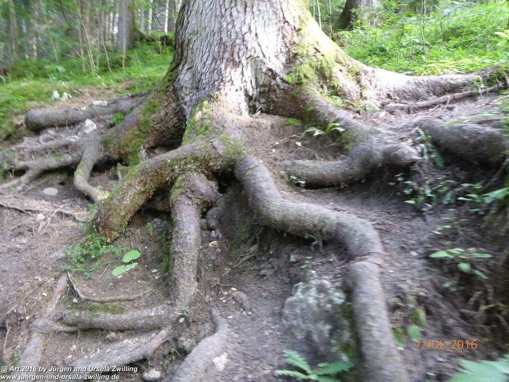Philosophische Bildwanderung Gipfeltraumtour von Fischbachau auf den Wendelstein - Schliersee -Tegernsee