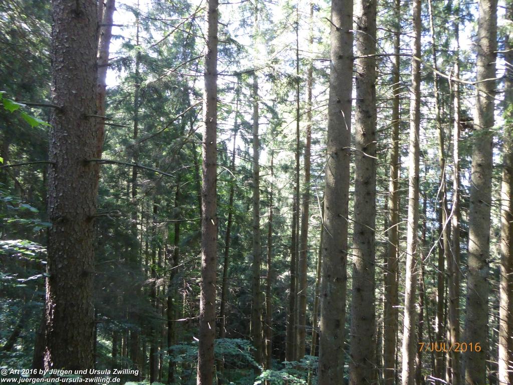 Philosophische Bildwanderung Gipfeltraumtour von Fischbachau auf den Wendelstein - Schliersee -Tegernsee