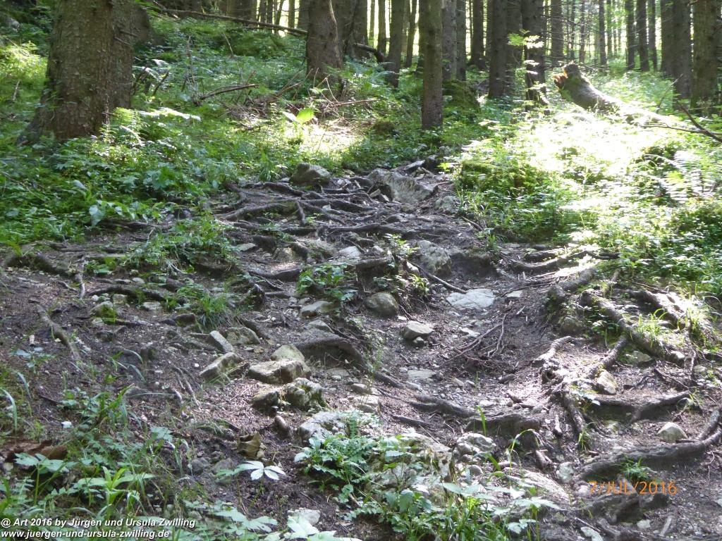 Philosophische Bildwanderung Gipfeltraumtour von Fischbachau auf den Wendelstein - Schliersee -Tegernsee