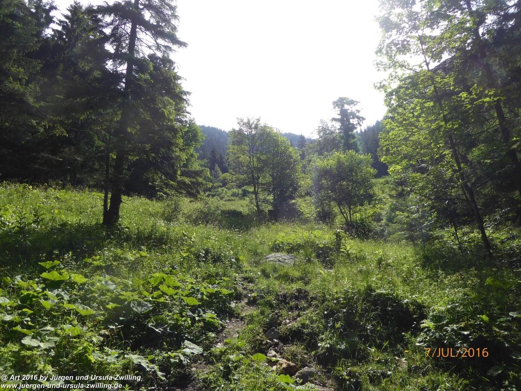 Philosophische Bildwanderung Gipfeltraumtour von Fischbachau auf den Wendelstein - Schliersee -Tegernsee