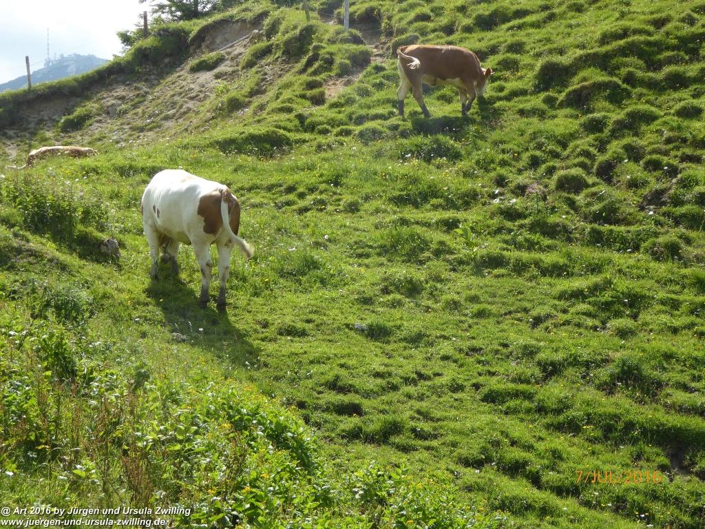 Philosophische Bildwanderung Gipfeltraumtour von Fischbachau auf den Wendelstein - Schliersee -Tegernsee