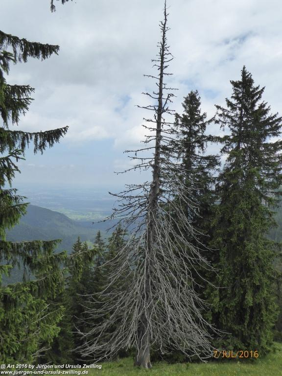 Philosophische Bildwanderung Gipfeltraumtour von Fischbachau auf den Wendelstein - Schliersee -Tegernsee