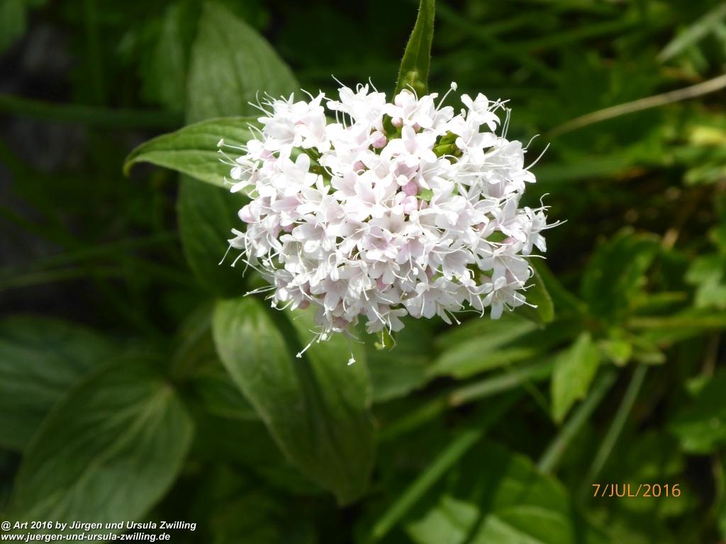 Philosophische Bildwanderung Gipfeltraumtour von Fischbachau auf den Wendelstein - Schliersee -Tegernsee