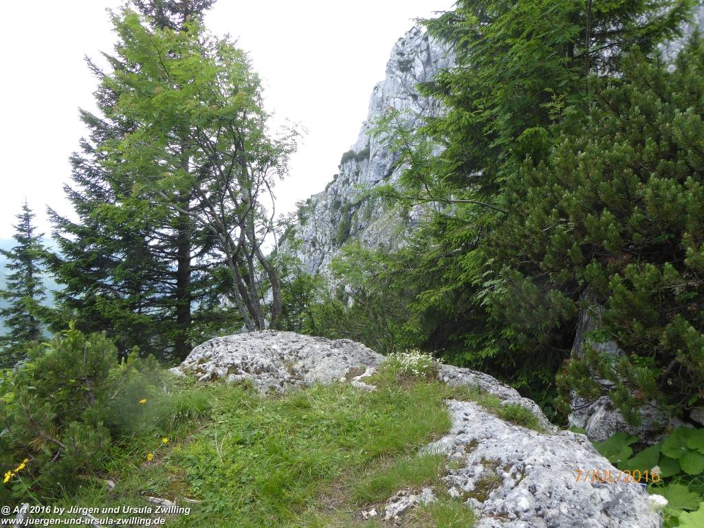 Philosophische Bildwanderung Gipfeltraumtour von Fischbachau auf den Wendelstein - Schliersee -Tegernsee