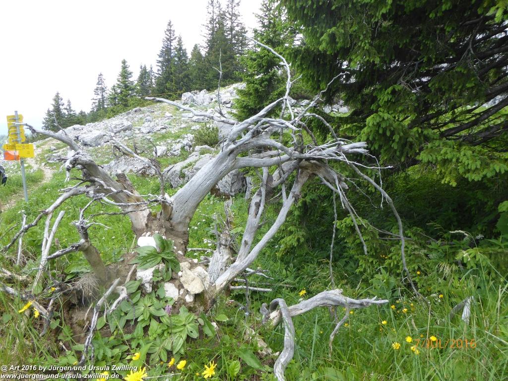 Philosophische Bildwanderung Gipfeltraumtour von Fischbachau auf den Wendelstein - Schliersee -Tegernsee