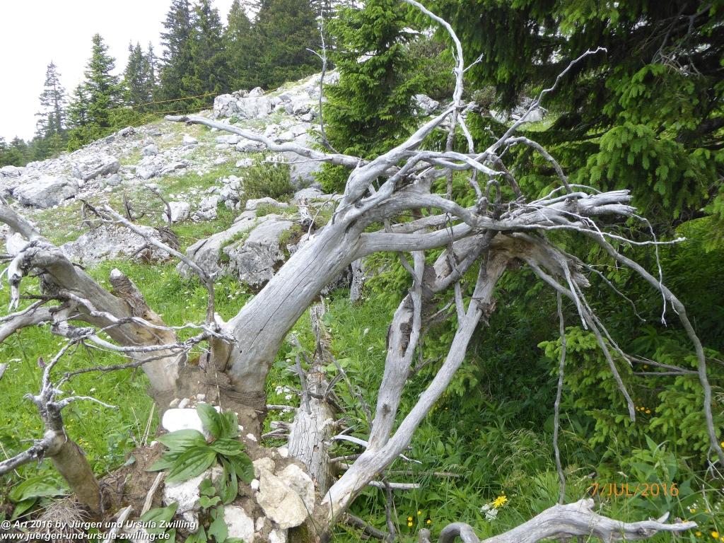Philosophische Bildwanderung Gipfeltraumtour von Fischbachau auf den Wendelstein - Schliersee -Tegernsee