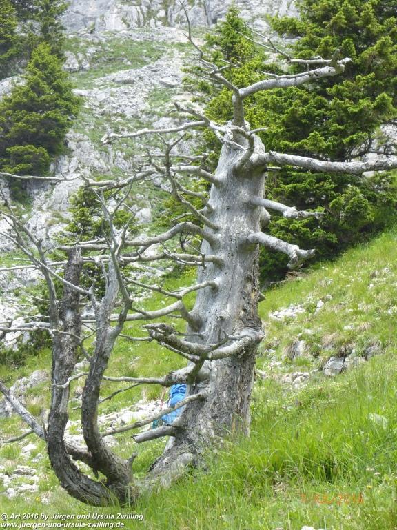 Philosophische Bildwanderung Gipfeltraumtour von Fischbachau auf den Wendelstein - Schliersee -Tegernsee