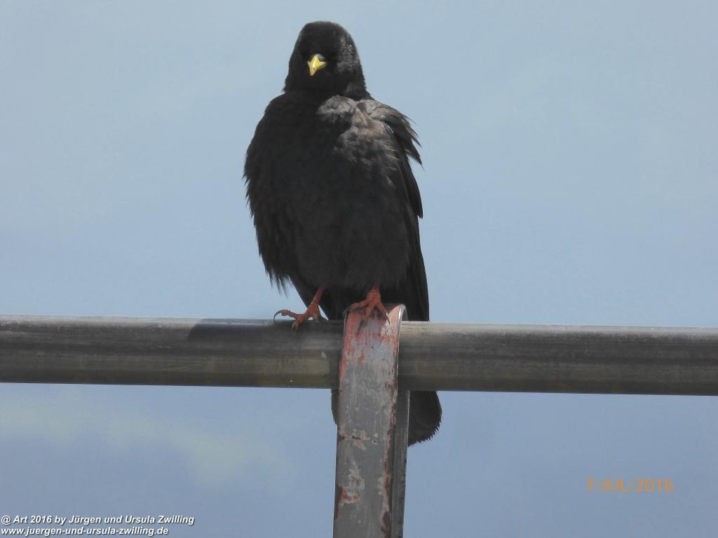 Philosophische Bildwanderung Gipfeltraumtour von Fischbachau auf den Wendelstein - Schliersee -Tegernsee