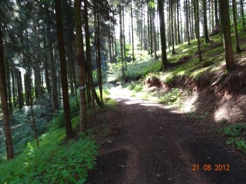 Wandertour von Zell-hinauf-zum-Brandenkopf
