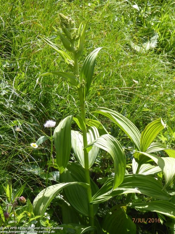 Philosophische Bildwanderung Gipfeltraumtour von Fischbachau auf den Wendelstein - Schliersee -Tegernsee