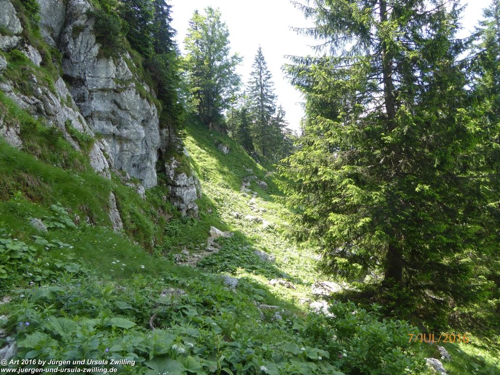 Philosophische Bildwanderung Gipfeltraumtour von Fischbachau auf den Wendelstein - Schliersee -Tegernsee