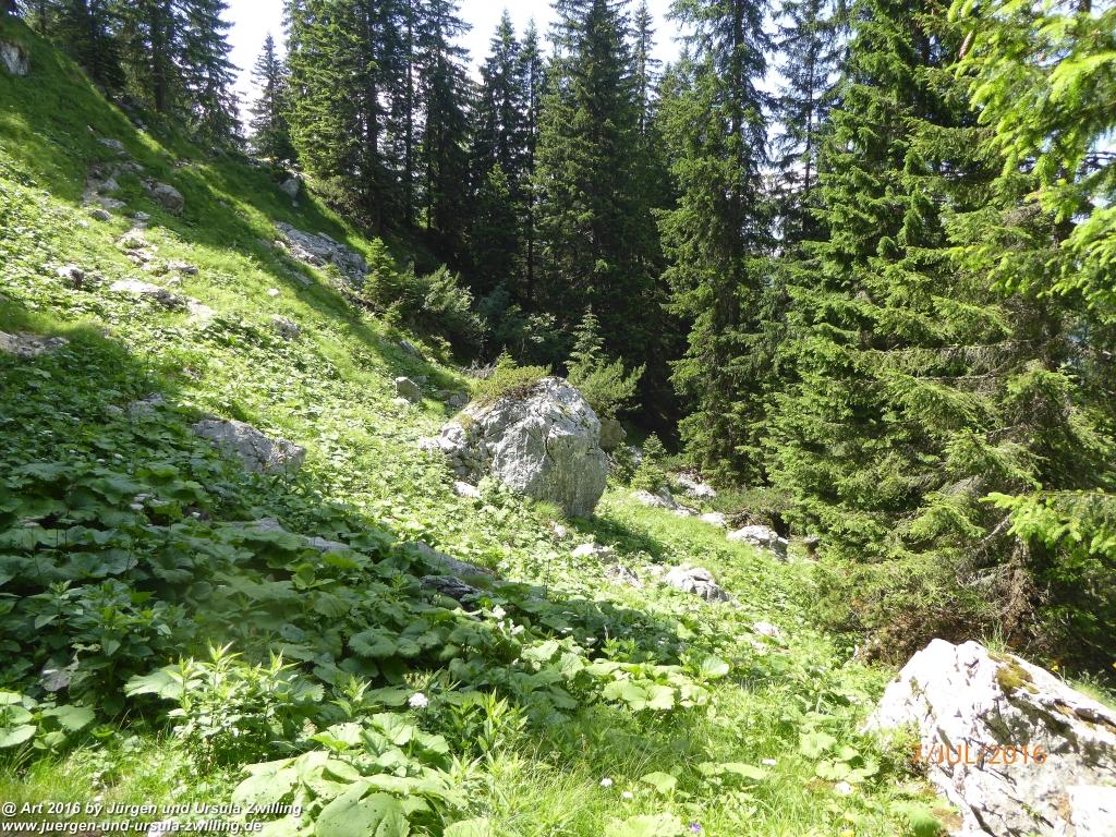Philosophische Bildwanderung Gipfeltraumtour von Fischbachau auf den Wendelstein - Schliersee -Tegernsee