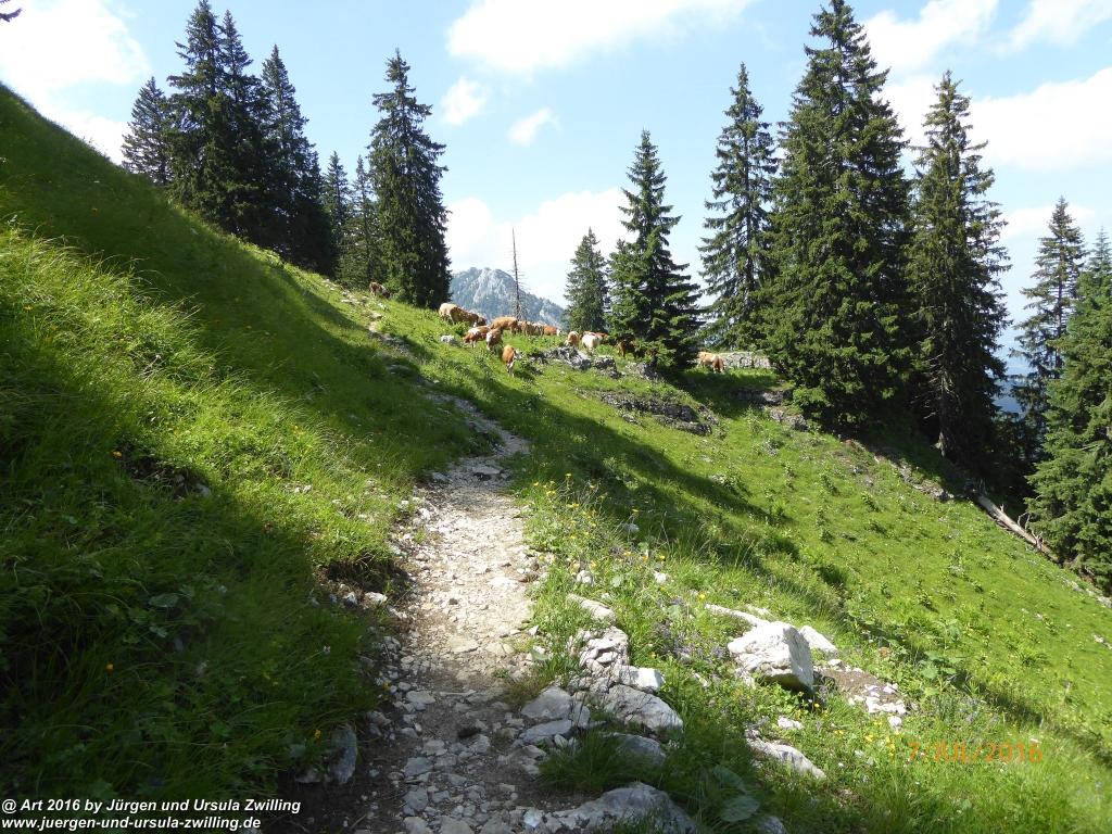 Philosophische Bildwanderung Gipfeltraumtour von Fischbachau auf den Wendelstein - Schliersee -Tegernsee 
