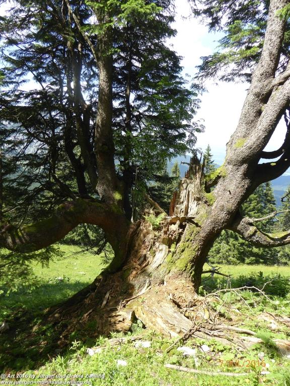 Philosophische Bildwanderung Gipfeltraumtour von Fischbachau auf den Wendelstein - Schliersee -Tegernsee