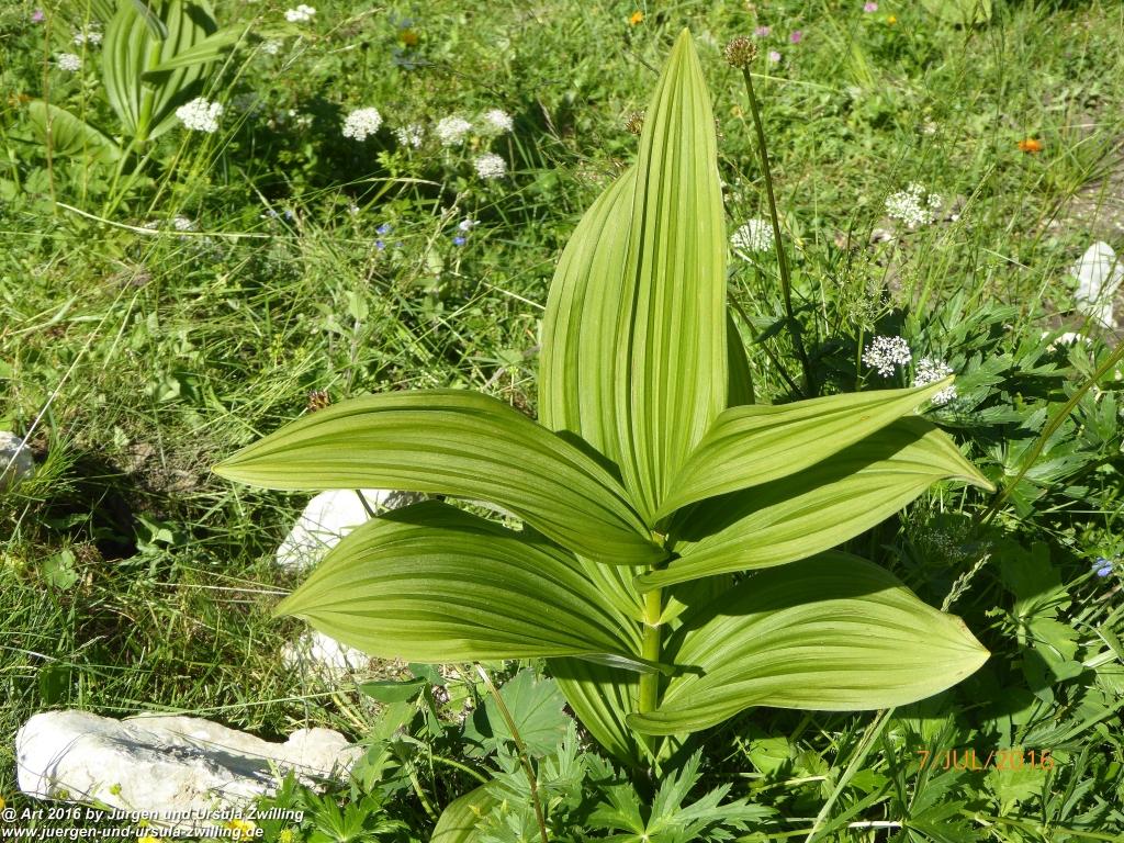 Philosophische Bildwanderung Gipfeltraumtour von Fischbachau auf den Wendelstein - Schliersee -Tegernsee