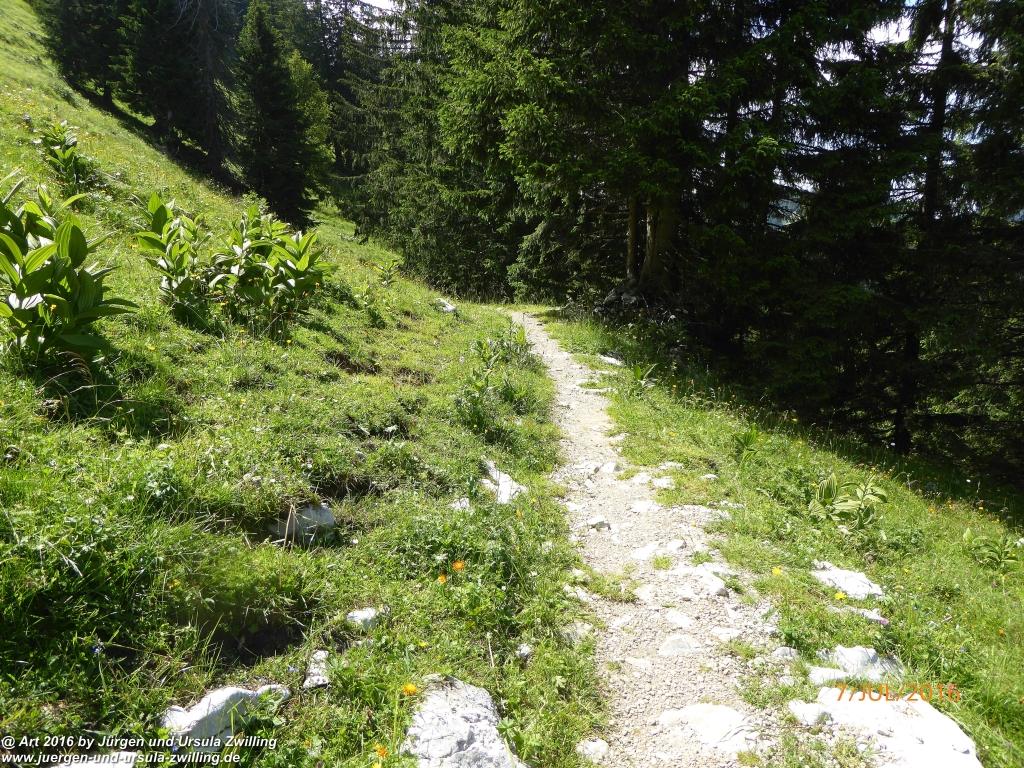 Philosophische Bildwanderung Gipfeltraumtour von Fischbachau auf den Wendelstein - Schliersee -Tegernsee