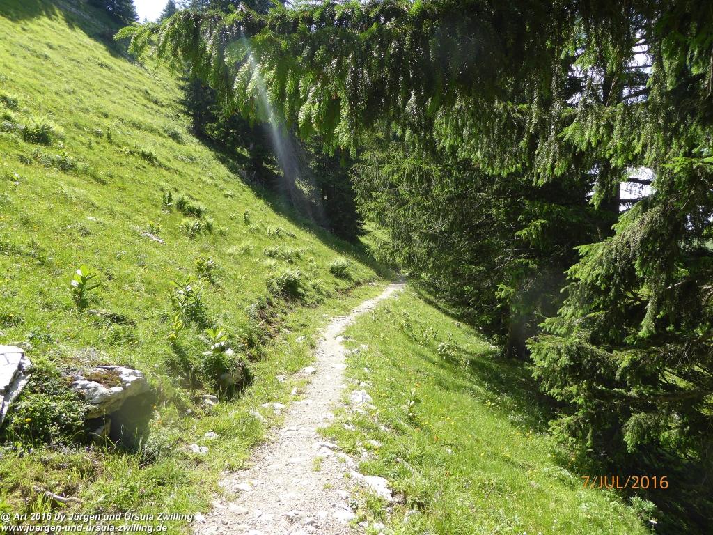 Philosophische Bildwanderung Gipfeltraumtour von Fischbachau auf den Wendelstein - Schliersee -Tegernsee