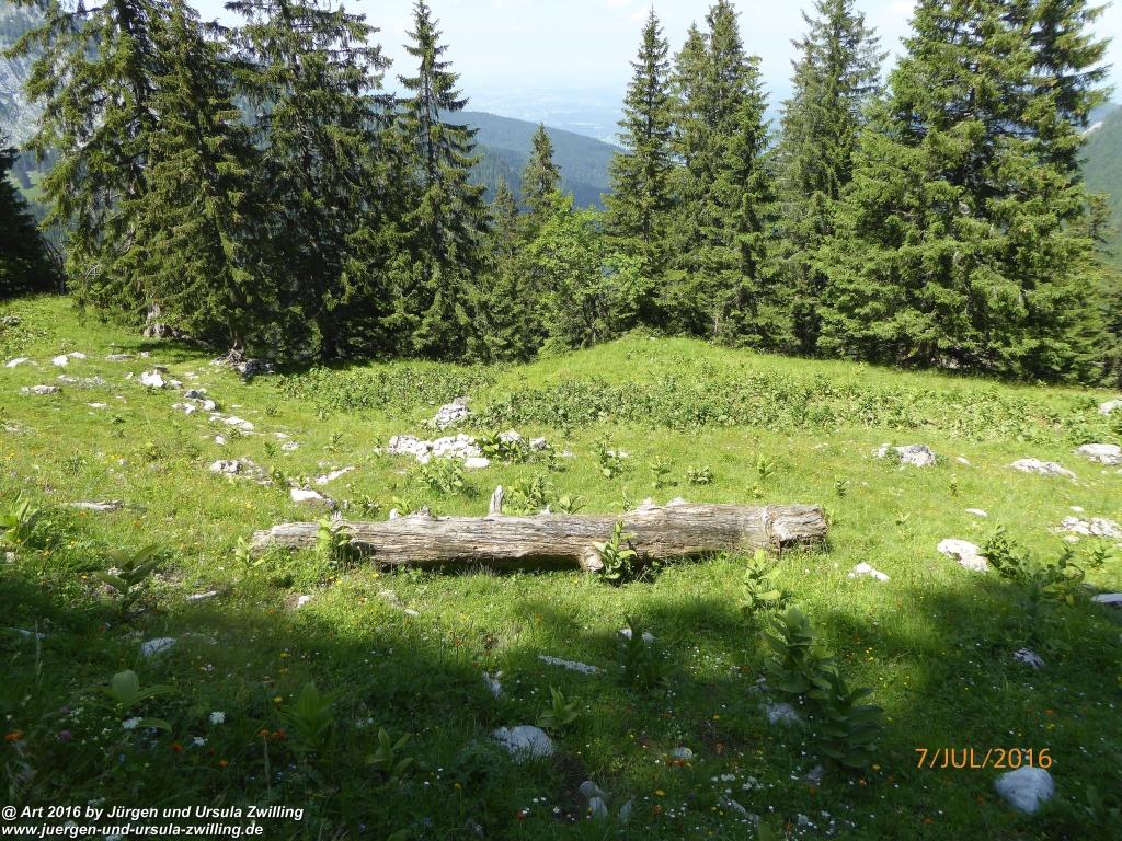 Philosophische Bildwanderung Gipfeltraumtour von Fischbachau auf den Wendelstein - Schliersee -Tegernsee