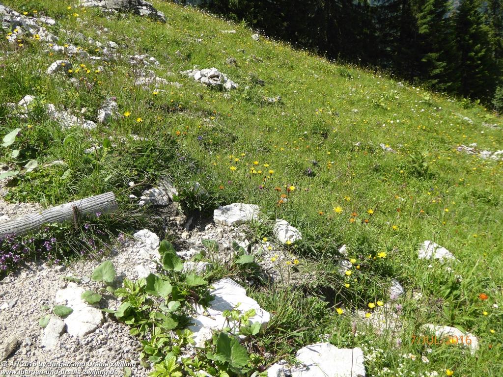 Philosophische Bildwanderung Gipfeltraumtour von Fischbachau auf den Wendelstein - Schliersee -Tegernsee