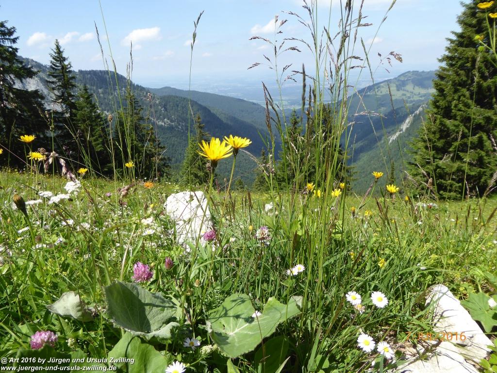 Philosophische Bildwanderung Gipfeltraumtour von Fischbachau auf den Wendelstein - Schliersee -Tegernsee