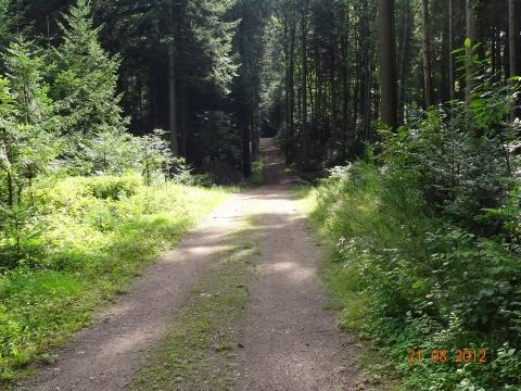 Wandertour von Zell-hinauf-zum-Brandenkopf