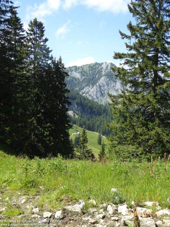 Philosophische Bildwanderung Gipfeltraumtour von Fischbachau auf den Wendelstein - Schliersee -Tegernsee