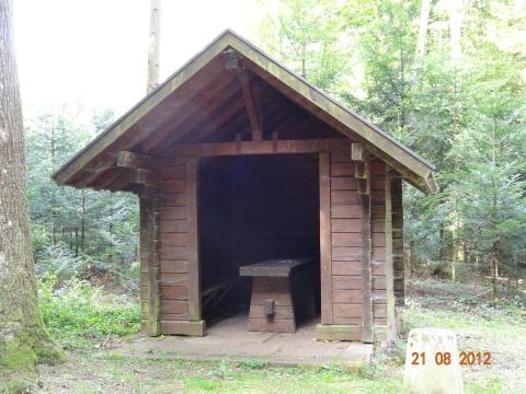 Wandertour von Zell-hinauf-zum-Brandenkopf