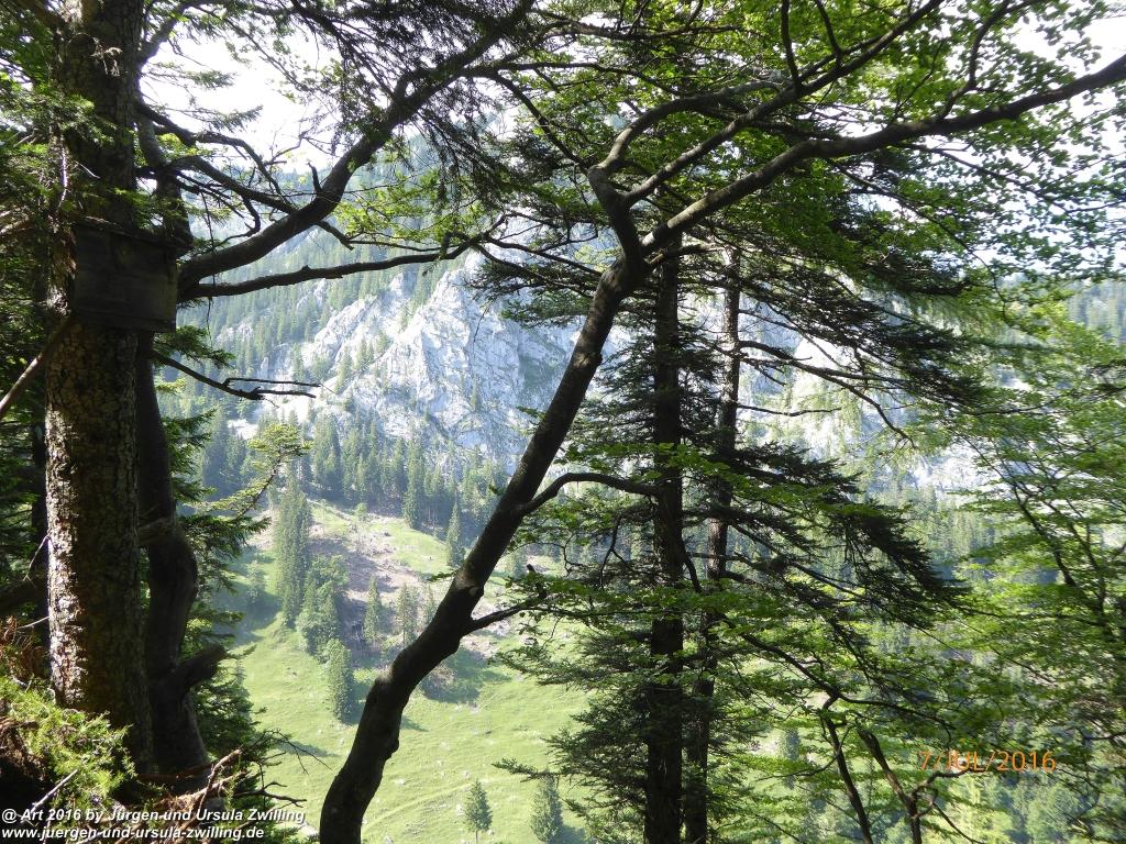 Philosophische Bildwanderung Gipfeltraumtour von Fischbachau auf den Wendelstein - Schliersee -Tegernsee