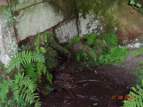 Wandertour von Zell-hinauf-zum-Brandenkopf