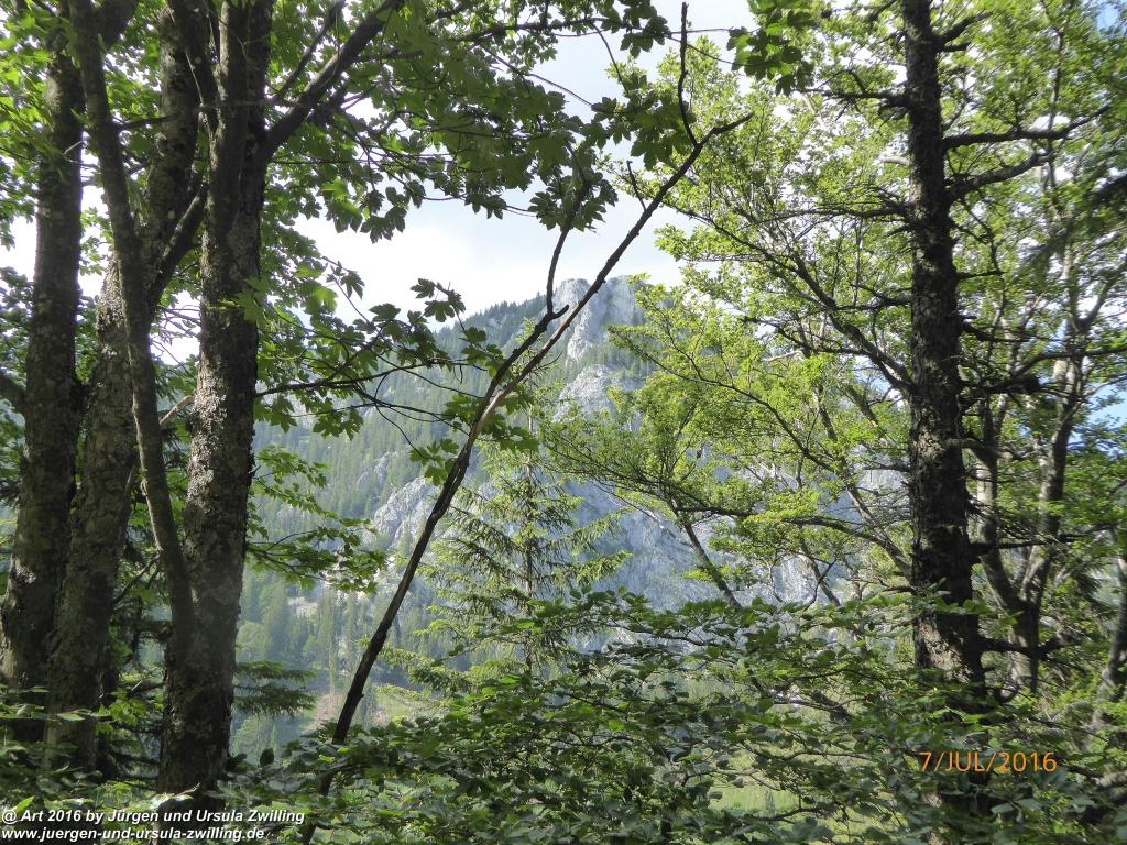 Philosophische Bildwanderung Gipfeltraumtour von Fischbachau auf den Wendelstein - Schliersee -Tegernsee