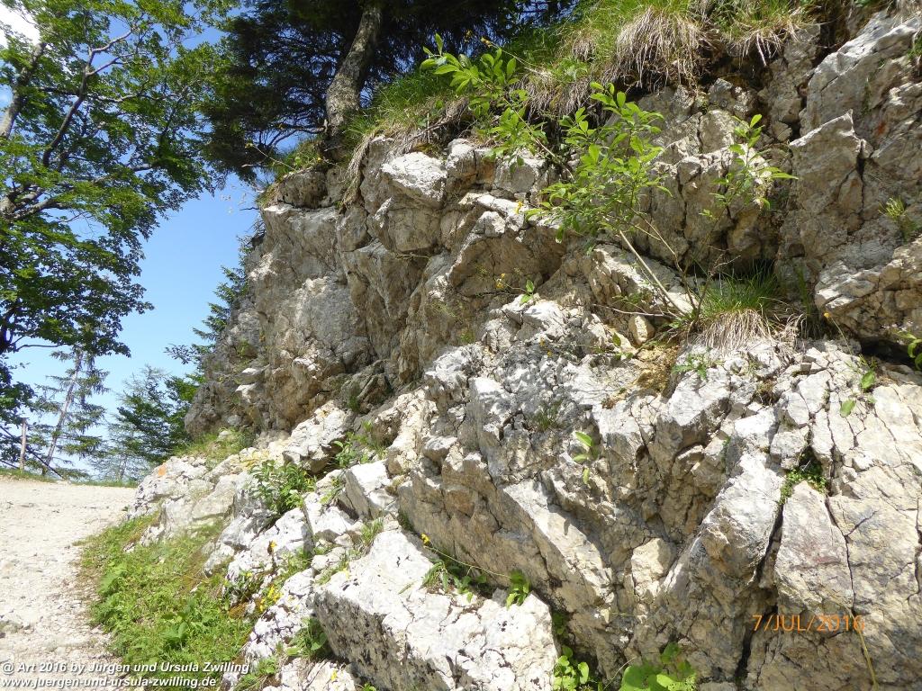 Philosophische Bildwanderung Gipfeltraumtour von Fischbachau auf den Wendelstein - Schliersee -Tegernsee