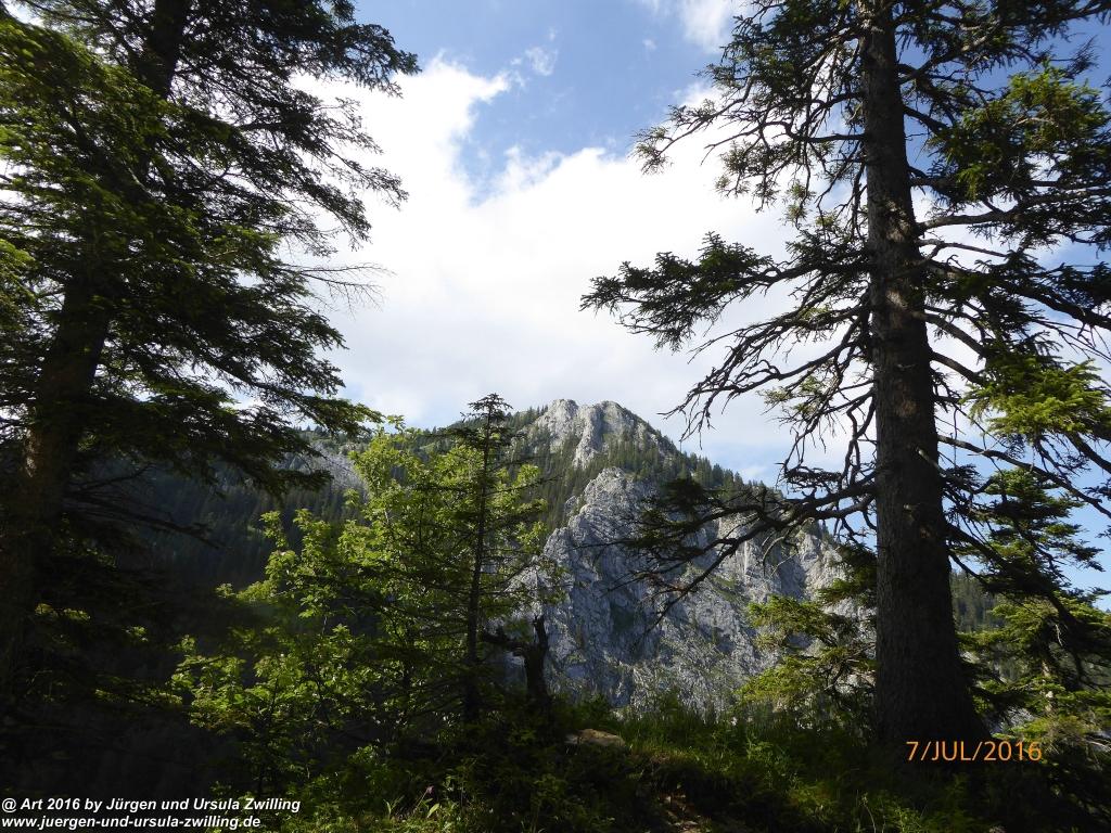 Philosophische Bildwanderung Gipfeltraumtour von Fischbachau auf den Wendelstein - Schliersee -Tegernsee