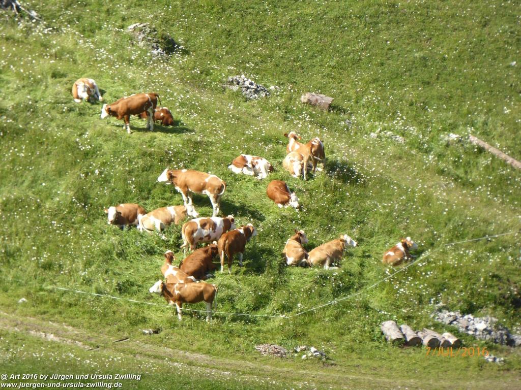 Philosophische Bildwanderung Gipfeltraumtour von Fischbachau auf den Wendelstein - Schliersee -Tegernsee